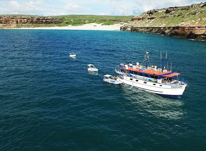 WildcardLuxuryCruises