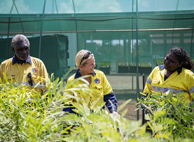 EDF022_GulkulaMining_Nursery copy